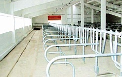 ������������ �������� ��� ��� ������������� ���������� �����