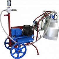 ��������� �������� �������������� ��� - 5